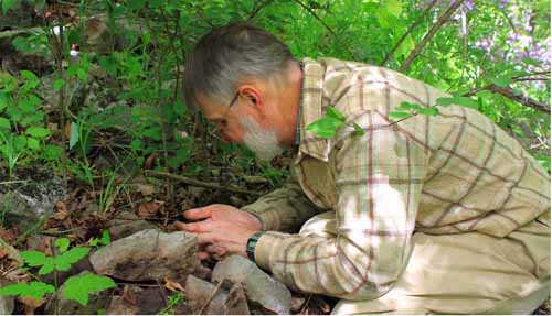 Dr. Tim Pearce searches for land snails